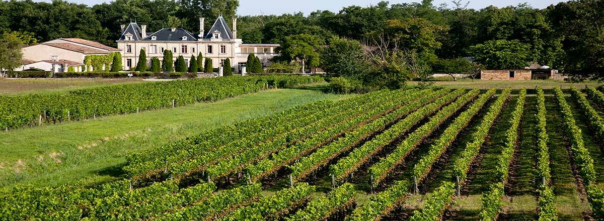 Chateau Meyre Avensan Exterior photo